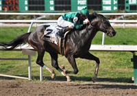 Grasshopper wins at FG
