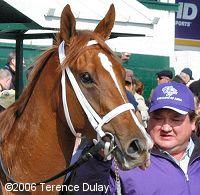 After the Juvenile Fillies