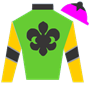 2tallgins Silks
