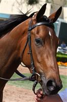 Star Billing