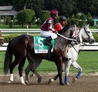 Tizway, 2009 Whitney Hdcp Saratoga