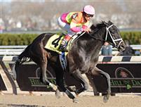Edgar Prado steers Tizahit to victory in the Demoiselle Stakes (gr.II) November 28th, 2009 at Aqueduct Racecourse.