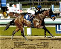 Santa Anita Maiden at a Mile