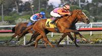 December 10, 2011.Killer Graces ridden by Joe Talamo taking the lead in the stretch and winning the Hollywood Starlet at Hollywood Park, Inglewood, CA