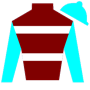 wrgpt9 Silks