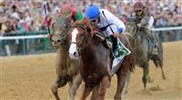 Shackleford takes the 2011 Preakness over Animal Kingdom