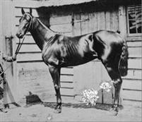 beadsman