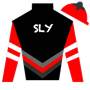 joeysly Silks