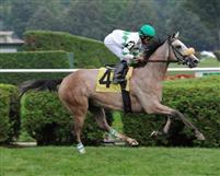 Winter Memories breaks maiden at Saratoga (9-3-10).