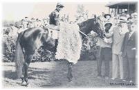 After winning the Washington Park Futurity