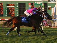 String King and jockey James Graham (black cap) puts his nose in front of Kissimmee Kyle and Wildrally to win the 21st running of the Louisiana Day Turf at Fair Grounds.  Hodges Photography / Amanda Weir