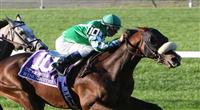 10 02 2010: Winchester & Cornelio Velasquez hold off Paddy O'Prado in the Joe Hirsh Turf Classic, at 1 1/2 miles on the turf for 3-year olds & up, Belmont Park, Elmont, NY. Trainer Christopher Clement. Owners Bert & Diane Firestone 