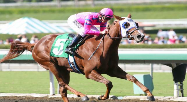04 October 2009: Blind Luck and Tyler Baze win the Oak Leaf Stakes (GI) at Oak Tree at Santa Anita Park, Arcadia, CA. 