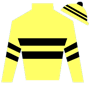 Forego139 Silks