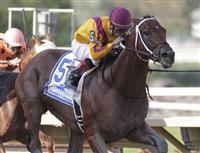 Wilburn, ridden by Corey Nakatani wins the Smarty Jones Stakes at Parx Racing on September 5th.