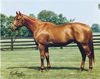 Point Given at Stud