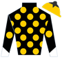 mnoonan123 Silks