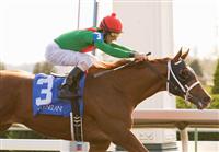 23 October 2010. Animal Kingdom and Robby Albarado win the 6th race, 2 year old, Maiden.