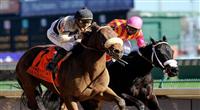 Amazombie , ridden by jockey Mike Smith and trained by Bill Spawr wins the Sentient Jet Breeders' Cup Sprint (G1) at at Churchill Downs in Louisville, Kentucky on November 5, 2011.