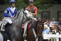 Vicarious in the paddock at Saratoga with Julien Leparoux up