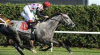 10 November 14: Unbridled Humor (no. 11), ridden by John Velazquez and trained by H. Graham Motion, wins the Memories of Silver Stakes for three year old fillies at Aqueduct Race Track in Ozone Park, New York. (Bob Mayberger/Eclipse Sportswire) 