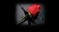 In Memorium