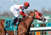27 March 2010: Dean's Kitten with Cornelio Velasquez up takes the 39th running of the G2 Lane's End Stakes at Turfway Park in Florence, Kentucky.
