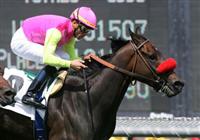 03 April 2010: Compari and Garrett Gomez win the Arcadia Budweiser Handicap(GII) at Santa Anita Park in Arcadia, CA...