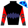 bears1212 Silks