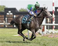 Cheetah with rider Jose Lezcano wins the Grade 3 Robert G. Dick Memorial Stakes at Delaware Park.