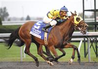 Negligee winning the Alciabides