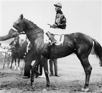Sir Barton 3