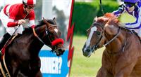 Cape Blanco vs Acclamation for Champion Turf Male