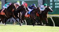Proviso with Mike Smith (pink cap) wins the blanket finish of The Abu Dhabi First Lady. C.S. Silk (Kent Desoreaux,white cap), Wasted Tears (Rajiv Maragh, blue cap) and Fantasia (Julien Leparoux, green cap) at Keeneland Race Course. 10.09.2010..photo Ed Van Meter 