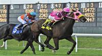 10 October 23: Pocket Cowboys (no. 4), ridden by Edgar Prado and trained by Scott Schwartz, wins the 32nd running of the Mohawk Stakes for New York bred three year olds and upward at Belmont Park in Elmont, New York. (Bob Mayberger/Eclipse Sportswire) 