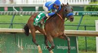 Hurricane Ike storms home in the 2010 Derby Trial under jockey Calvin Borel
