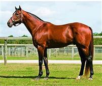 LoneStarSky