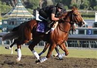 12 likely for Lexington