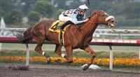 December 4, 2010.Aggie Engineer riden by Joseph Talamo wins the Native Diver Handicap at Hollywood Park, Inglewood, CA 
