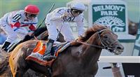Drosselmeyer wins 2010 Belmont Stakes.