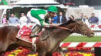 Royal Delta