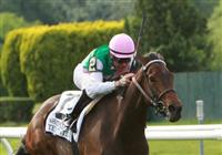 05 22 2010: Treat Gently (GB) & Kent Desormeaux win the 52nd running of the Grade 2 Sheepshead Bay Stakes, 1/ 3/8 mile for F&M 3 year old and up on the inner turf. Trainer Bill Mott. Owner Juddmonte Farms