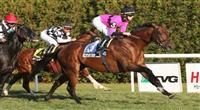 07 11 2009:Expansion with Channing Hill up is a longshot winner in the Grade II Red Smith Handicap at 1 3/8 mile on the turf at Aqueduct Racetrack, Jamaica, NY. Trained by C.C. Brown. Owned by Gary & Mary West
