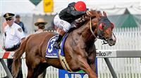 Hollywood Gold Cup takes center stage