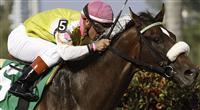 Grace Hall with jockey Javier Castellano winning the Gulfstream Oaks (G2). Gulfstream Park Hallandale Beach Florida. 03-31-2012. Arron Haggart/Eclipse Sportswire 