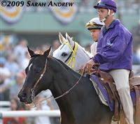 Silver Swallow before the 2009 Breeders' Cup