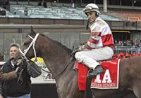 Kodiak Kowboy takes the G1 Carter at Aqueduct