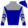 camehome Silks