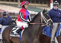 6 March 2010: Yawanna Twist and jockey Edgar Prado go to the post for The Gotham at Aqueduct Racetrack in Ozone Park NY.