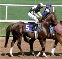Domestic Dispute, Kerwin John, Steve Queen, Breeders Cup